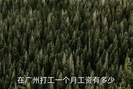 廣州洗車一個月多少錢一個月,一個月要多少錢