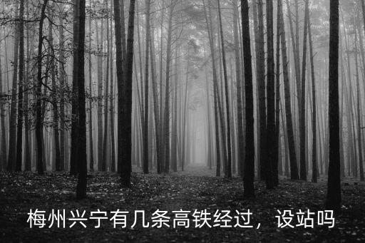 梅州興寧有幾條高鐵經過，設站嗎