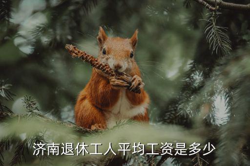 濟南16年在崗職工平均工資是多少,濟南退休工人平均工資是多少