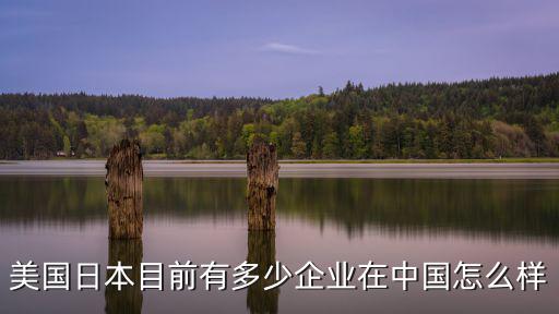 山東省有多少家日本企業,中國企業500強里
