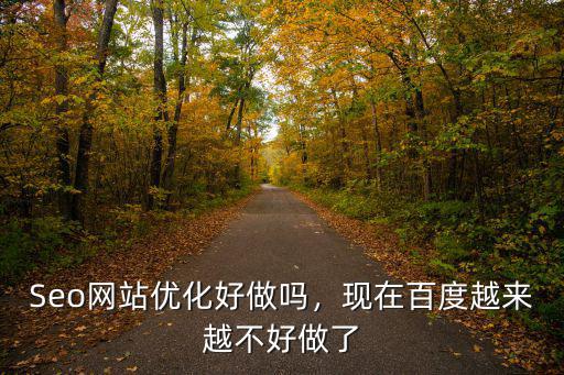肇慶市軟件seo優化怎么做,網站怎樣做好seo優化