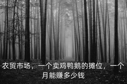 佛山做鴨子一個月多少錢一個月多少錢,一個月能賺多少錢