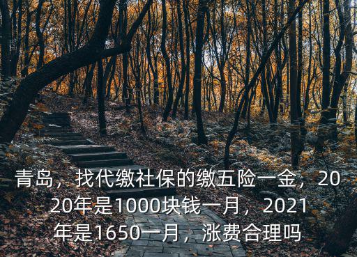 青島，找代繳社保的繳五險一金，2020年是1000塊錢一月，2021年是1650一月，漲費合理嗎