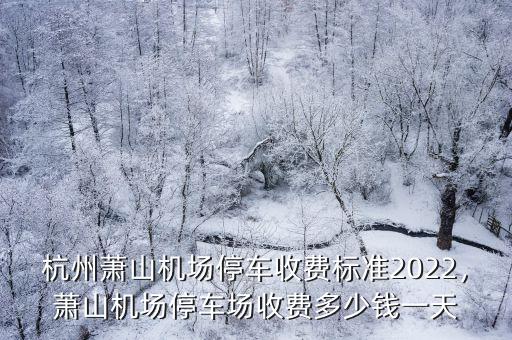 杭州機(jī)場(chǎng)停車(chē)多少錢(qián)一個(gè)小時(shí),杭州機(jī)場(chǎng)停車(chē)一天多少錢(qián)