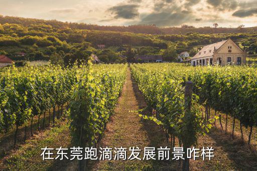東莞滴滴網約車平臺在哪里,在東莞跑滴滴發展前景咋樣