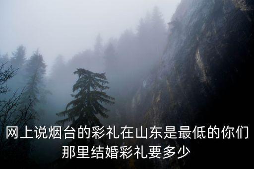 網上說煙臺的彩禮在山東是最低的你們那里結婚彩禮要多少