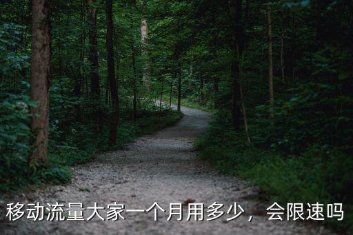 浙江移動用多少流量限速,移動流量大家一個月用多少