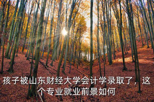 山東財經大學退休后能有多少工資,在山東財經大學上學
