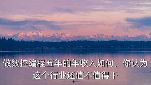 做數控編程五年的年收入如何，你認為這個行業還值不值得干