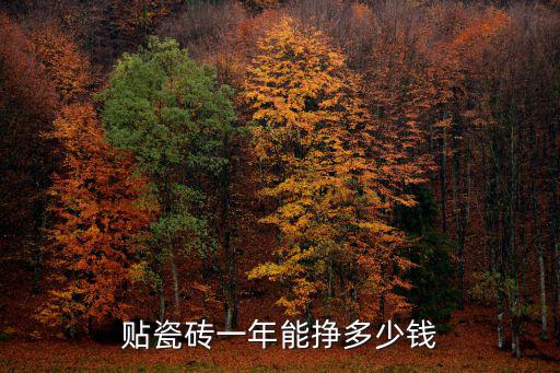 貼瓷磚一年能掙多少錢