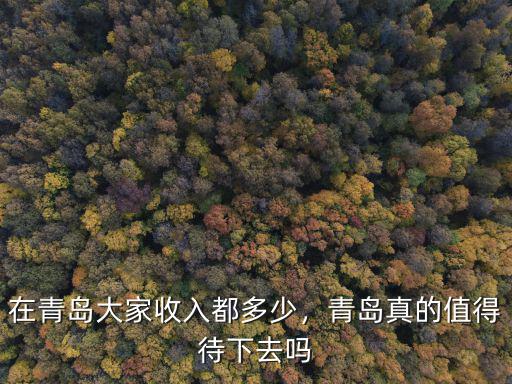 在青島大家收入都多少，青島真的值得待下去嗎