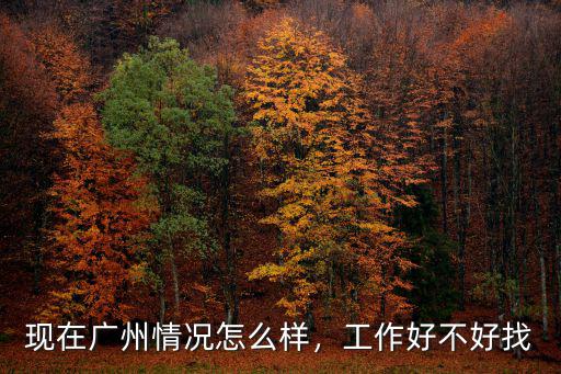 廣州阿富現在怎么樣了,現在在廣州跑美團怎么樣