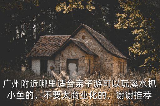 廣州哪里的溪流可以抓魚,廣州附近哪里適合親子游