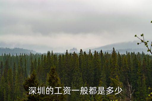 深圳廣東打工工資多少,深圳的工資一般都是多少