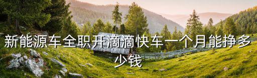 濰坊全職跑滴滴一天掙多少,一年能掙多少