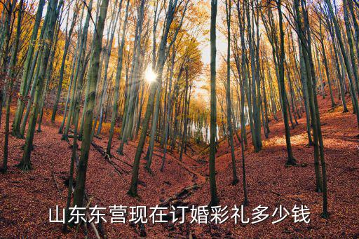 山東東營(yíng)現(xiàn)在訂婚彩禮多少錢(qián)