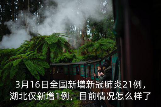 3月16日全國新增新冠肺炎21例，湖北僅新增1例，目前情況怎么樣了
