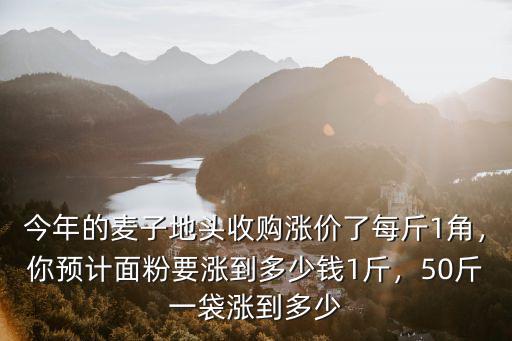 東營(yíng)區(qū)今日面粉多少錢(qián)一斤,50斤一袋漲到多少