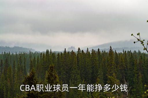 CBA職業球員一年能掙多少錢