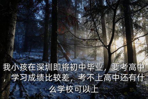 非深戶怎么進深圳公辦高中,沒有深圳戶口