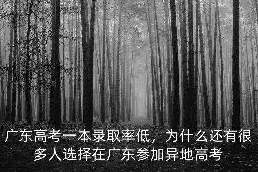 今年廣東高考情況怎么樣,廣東高考一本錄取率低