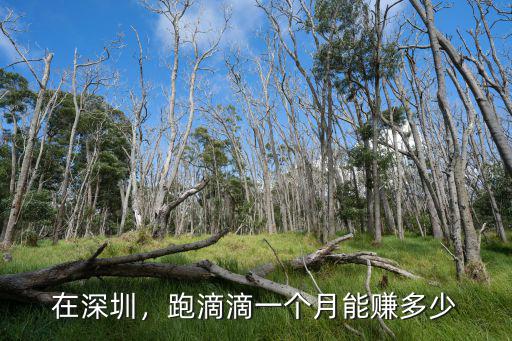 在深圳，跑滴滴一個月能賺多少