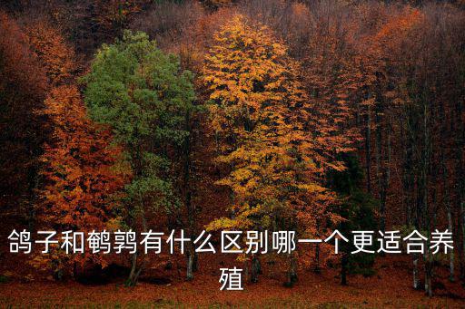 鴿子和鵪鶉有什么區別哪一個更適合養殖