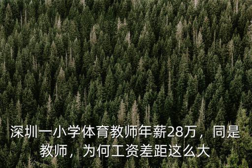 深圳小學臨聘教師一般工資多少錢,深圳教師基本工資有多少