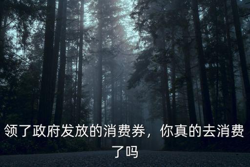 深圳政府發(fā)的消費(fèi)券在哪里領(lǐng),你真的去消費(fèi)了嗎