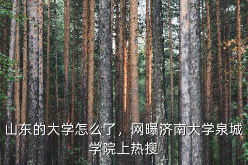 濟南大學泉城學院的競爭力是多少,網曝濟南大學泉城學院上熱搜