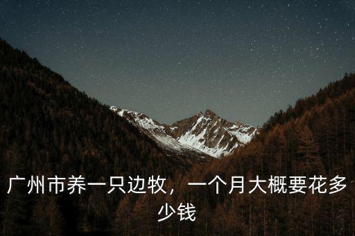 廣州狗牌多少錢一只,廣州市養一只邊牧