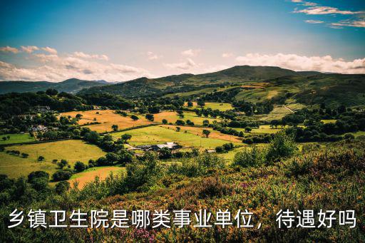 鄉(xiāng)鎮(zhèn)衛(wèi)生院是哪類(lèi)事業(yè)單位，待遇好嗎