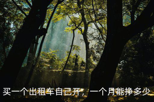 買一個出租車自己開，一個月能掙多少