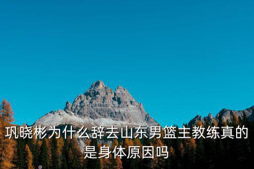 山東男籃收入多少,魏橋集團能接手山東男籃嗎