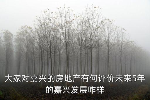 大家對嘉興的房地產有何評價未來5年的嘉興發展咋樣