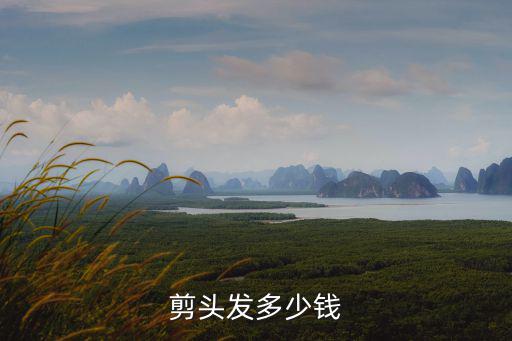 河源市理發多少錢,理發多少錢合適