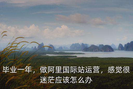 深圳做運營的多少錢一個月,做阿里國際站運營