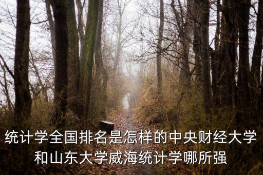 山東大學統計學全國排名多少,山東大學在全國排名多少