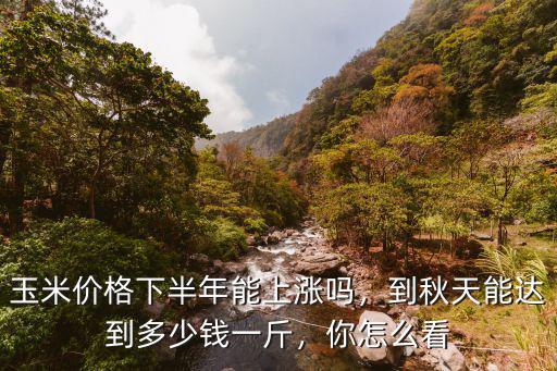 今年聊城下半年玉米多少錢一斤,玉米價格下半年能上漲嗎