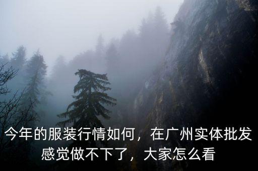 在廣州怎么了不好嗎,在廣州實(shí)體批發(fā)感覺做不下了