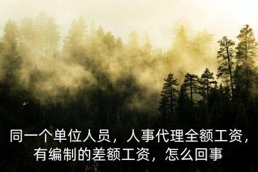 聊城人事代理工資多少,人事代理全額工資