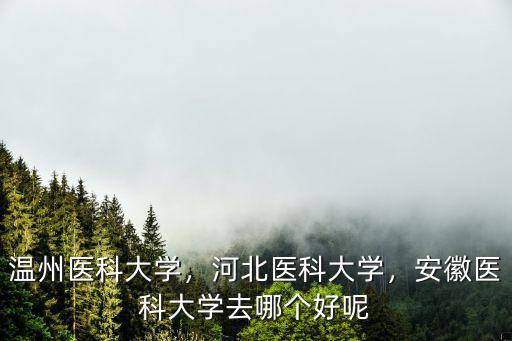 溫州醫科大學在河北文科招生多少分,河北醫科大學