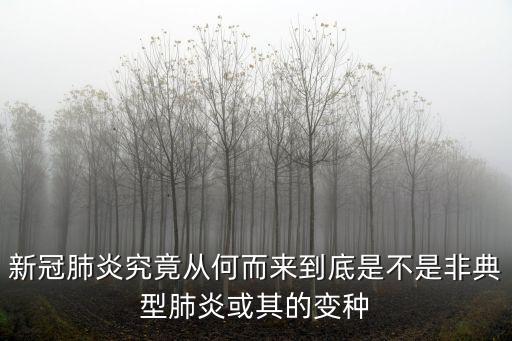 青島非典型肺炎多少人,回溯非典型肺炎肆虐的兩年間