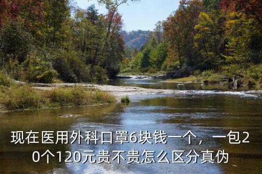 現在醫用外科口罩6塊錢一個，一包20個120元貴不貴怎么區分真偽
