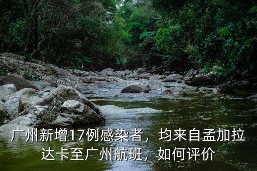 廣州新增17例感染者，均來自孟加拉達卡至廣州航班，如何評價