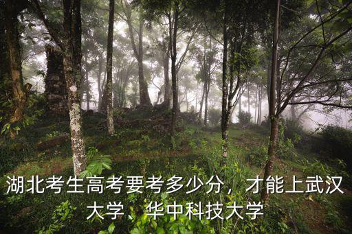 湖北考生高考要考多少分，才能上武漢大學、華中科技大學