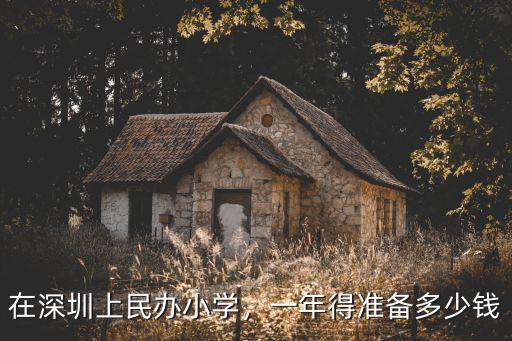 在深圳上民辦小學，一年得準備多少錢