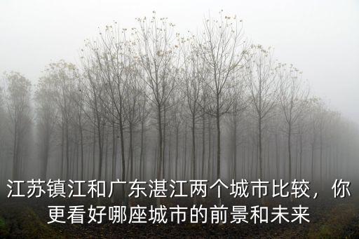 湛江城市哪里好,廣東湛江和陽江哪里定居好呢