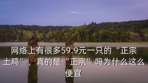 珠海哪里有賣正宗走地雞,廣州哪里有正宗的走地雞賣