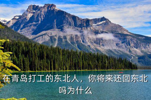 東北來青島多少人口,為什么青島有很多東北人